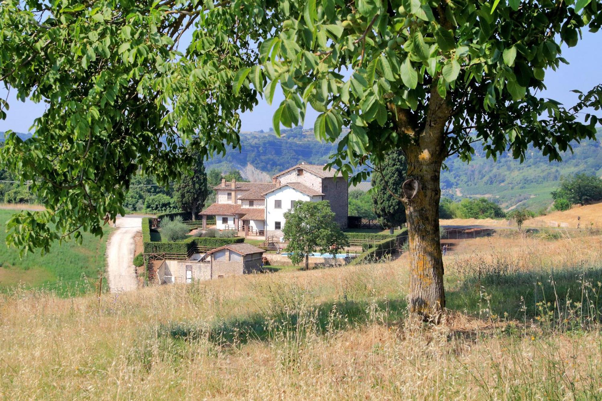 Orvieto Country House Castiglione In Teverina Buitenkant foto
