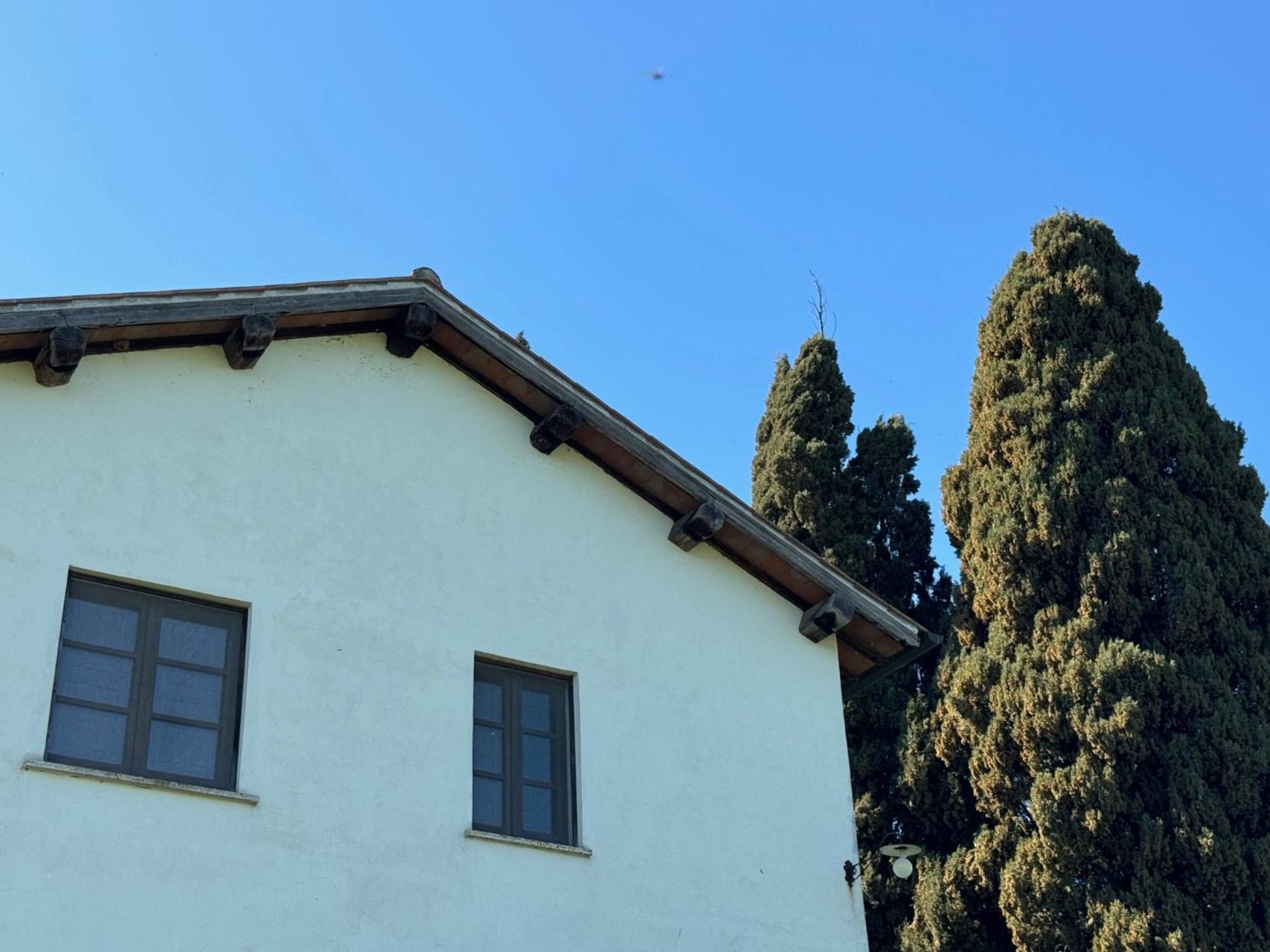 Orvieto Country House Castiglione In Teverina Buitenkant foto