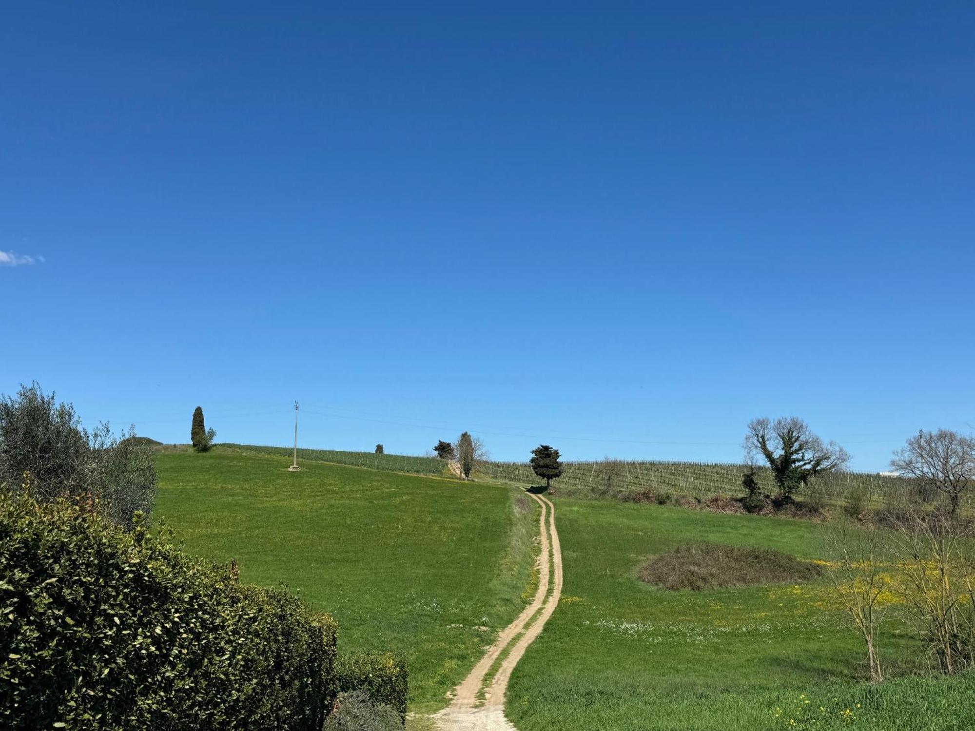 Orvieto Country House Castiglione In Teverina Buitenkant foto