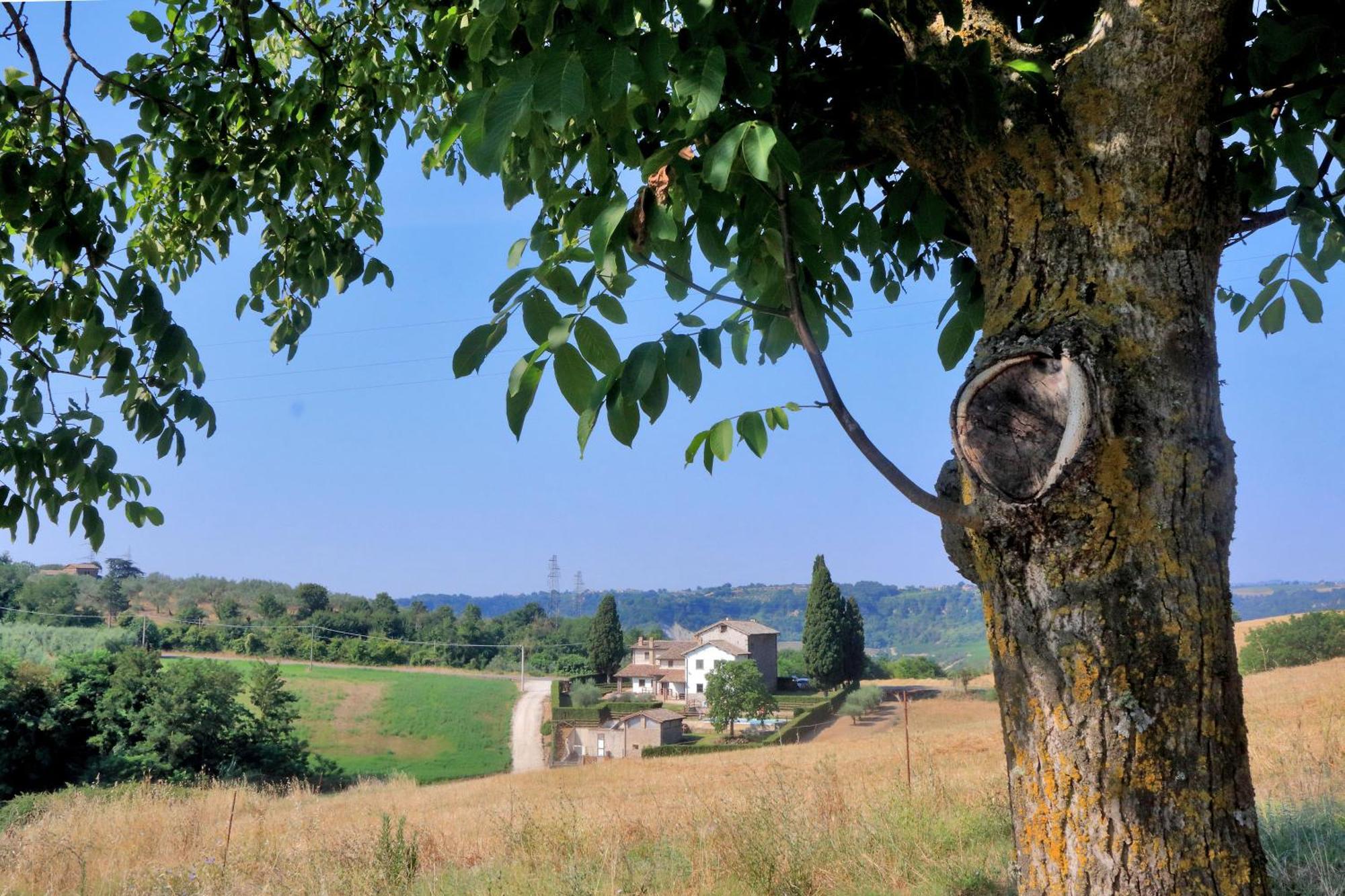 Orvieto Country House Castiglione In Teverina Buitenkant foto