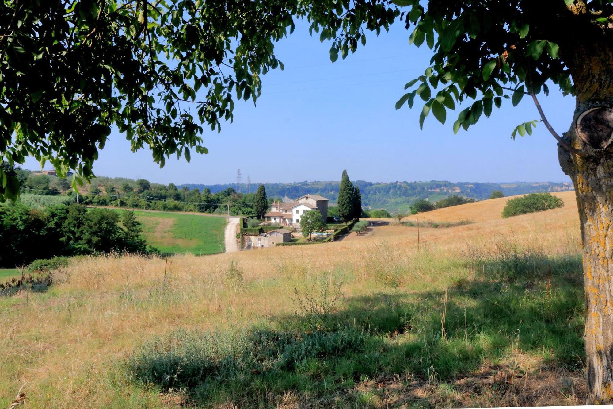 Orvieto Country House Castiglione In Teverina Buitenkant foto
