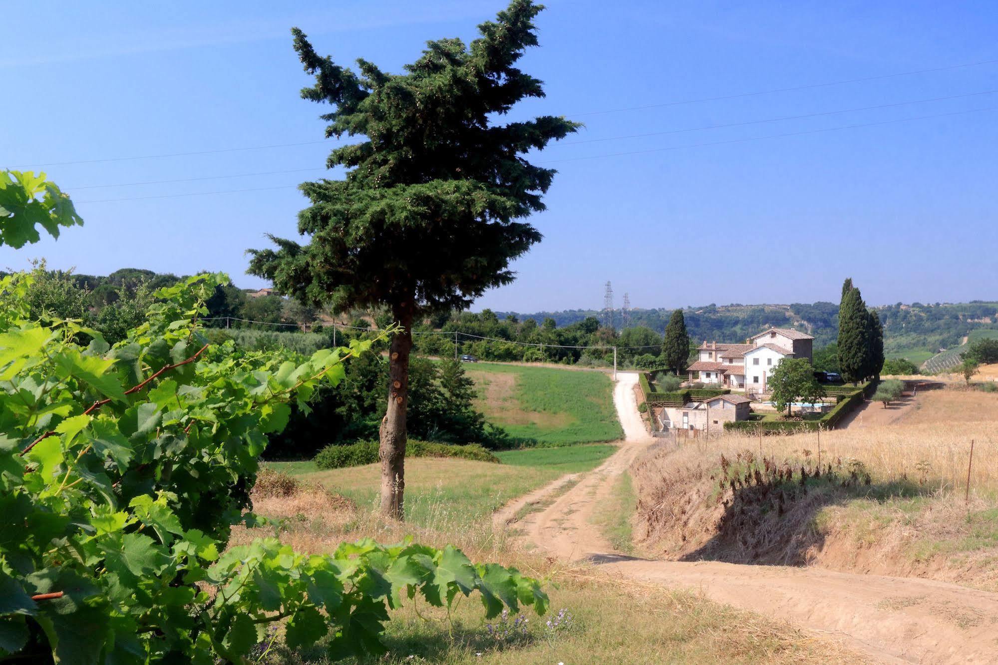 Orvieto Country House Castiglione In Teverina Buitenkant foto
